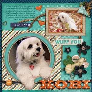Kobi - week 4 Survivor Layout