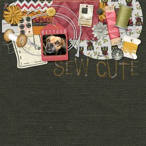 sew cute