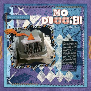 No Doggie...Litter Box