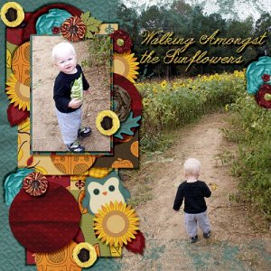 Walking Amongst the Sunflowers