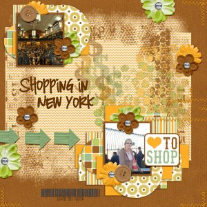 Shopping in New York