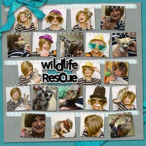 Wild Life Rescue - Page 2