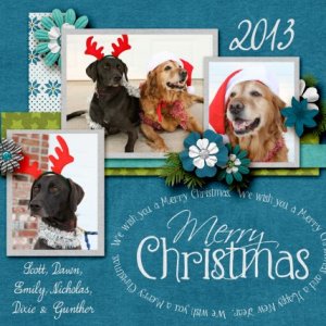 2013 Christmas Card
