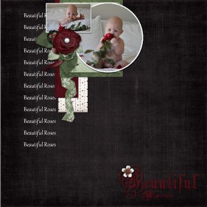 Beautiful Roses