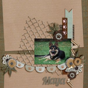 My-Maya