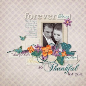 DSD - 2013 Grab Bag Bundle from Bekah E Designs