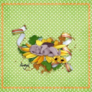 New kit Sweet Orange by Digi-Boudinette