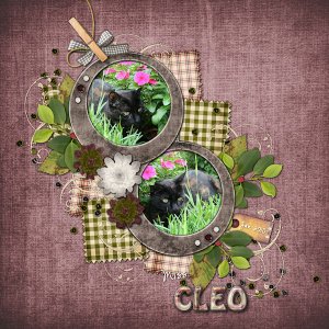 Miss Cleo