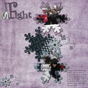 Snowfight
