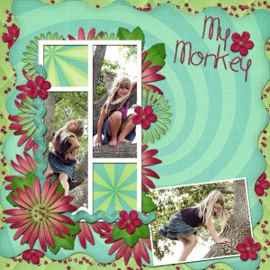 mmdb_WLTP_lomonkey