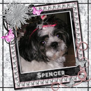 Spencer
