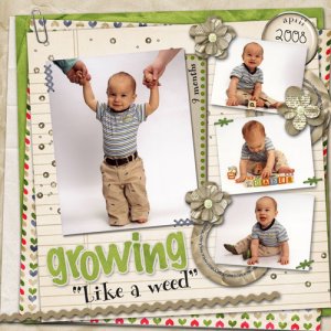 Growing Like A Weed