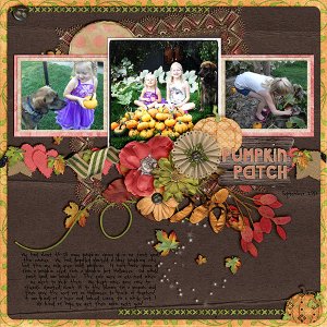 pumpkin patch