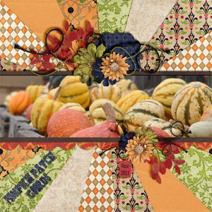 Pumpkin Patch Gourds