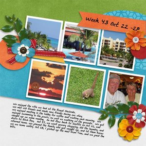 2013_Week43