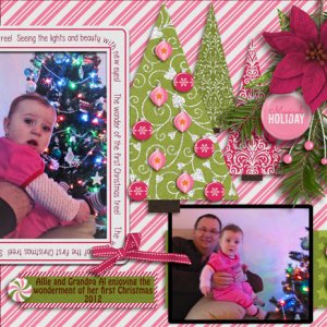 The Wonder of Christmas