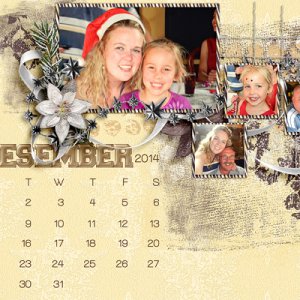 Calendar: Dec 2014