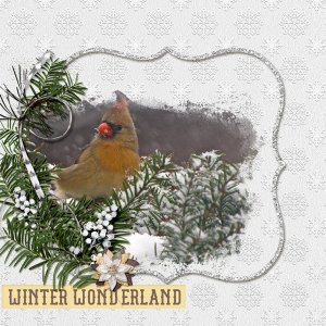 Winter Wonderland