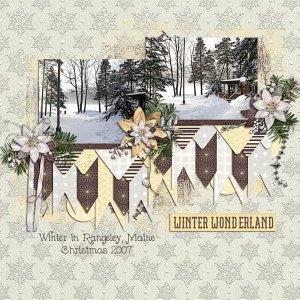 Winter Wonderland