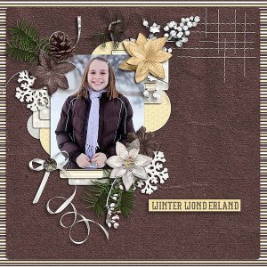 Winter Wonderland