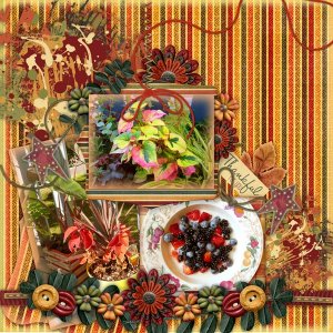 A Beautiful Harvest