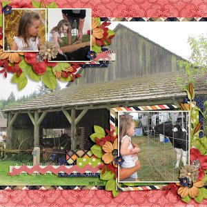 County Fair Games