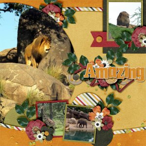 Animal Kingdom Safari