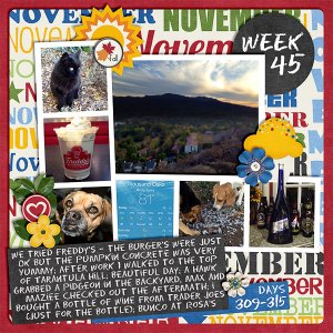 2013 - Week 45