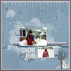 Snow Fun