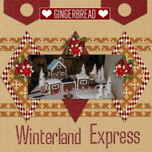 Winterland Express