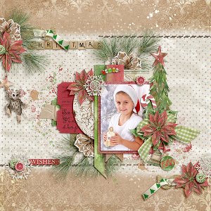 Christmas Wishes