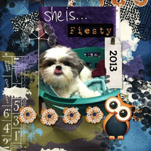 Daisy Fiesty