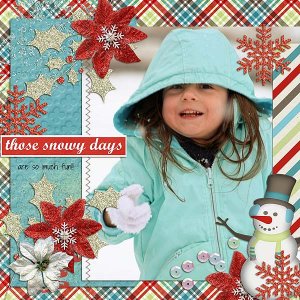 Those Snowy Days
