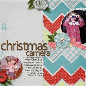 Christmas Camera