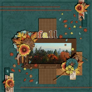 Fall Has Arrived