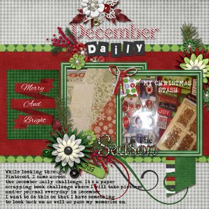 December Daily 2013