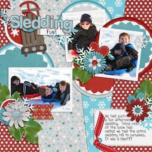 Sledding Fun