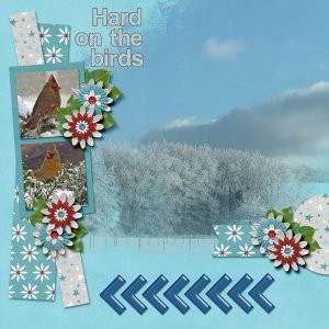 It's Hard On The Birds
