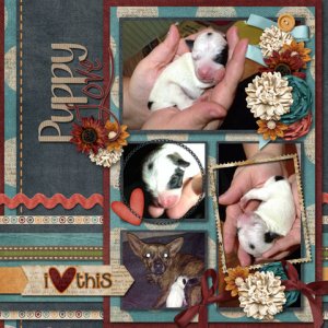 Puppy Love