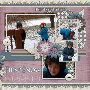 2013-12 brush First Snow 02