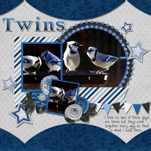 Twins