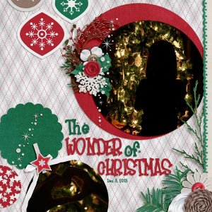 The Wonder of Christmas