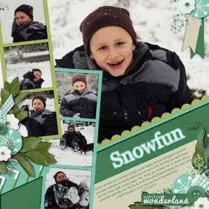 snow fun