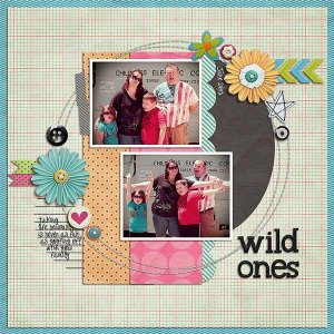Wild Ones