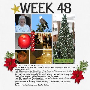 2013_Week_48