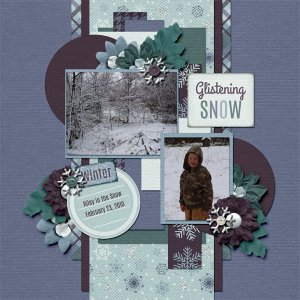 Glistening Snow
