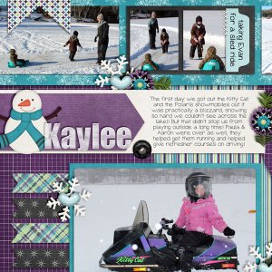 CC_FrostedWindowPanes1