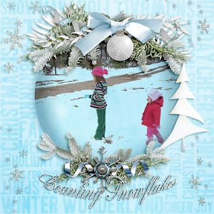 Counting Snowflakes