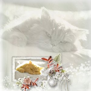 Magical christmas cat
