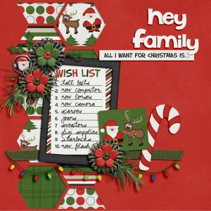 Dear Santa ...